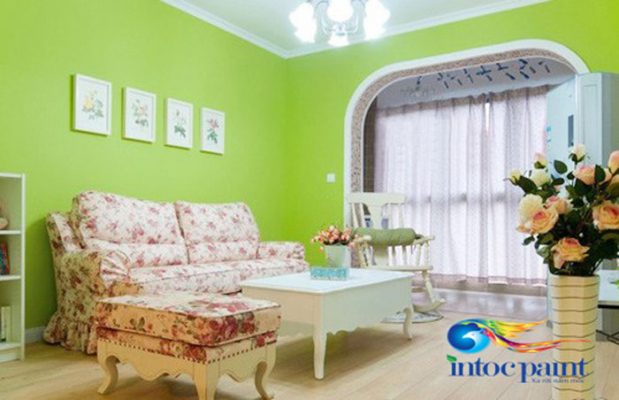 Màu xanh mang sự vui vẻ đến cho người tuổi Tuất