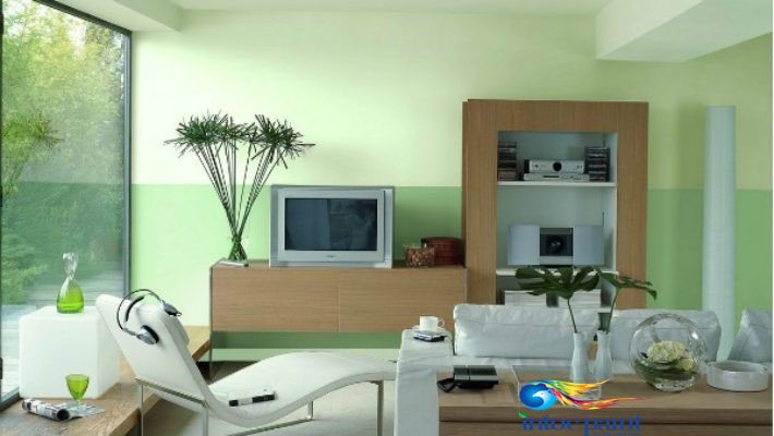 Màu xanh tượng trưng cho sự phát triển của người tuổi Mão