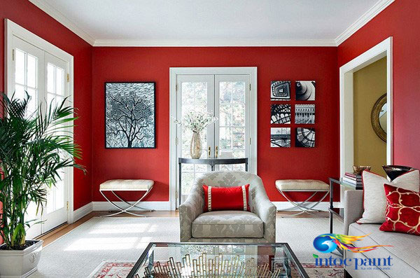 Người-tuổi-Tý-trong-năm-2019-rất-hợp-với-màu-đỏ