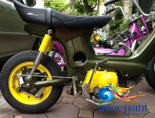 bang-mau-son-xit-anh6