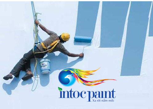 son-chong-tham-ngoai-troi-anh1