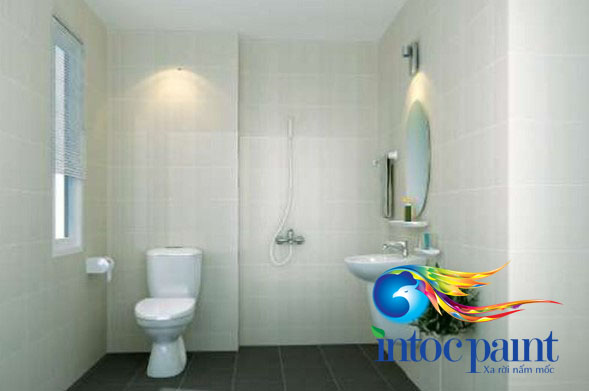 son-chong-tham-nha-ve-sinh-anh1