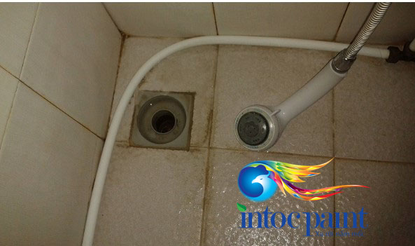 son-chong-tham-nha-ve-sinh-anh4