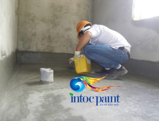 son-chong-tham-nha-ve-sinh-anh6