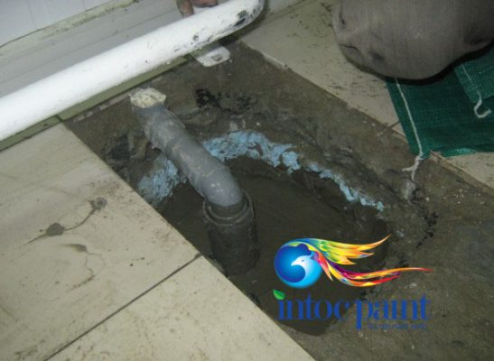 son-chong-tham-nha-ve-sinh-anh7