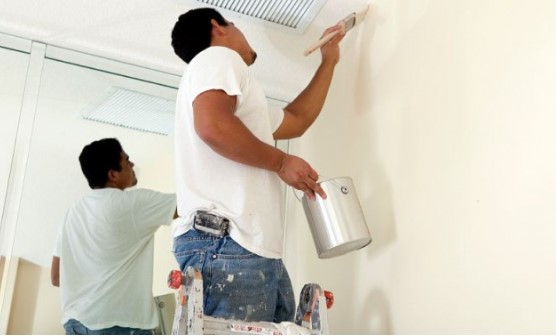 bao-gia-son-visenlex